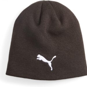 PUMA Erwachsene indWINTERIZED Tech Fußball-Beanie