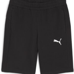 Puma Teamgoal 23 Casuals Herren Shorts