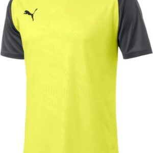 Puma Herren Cup Training Jersey Core Training Shirt