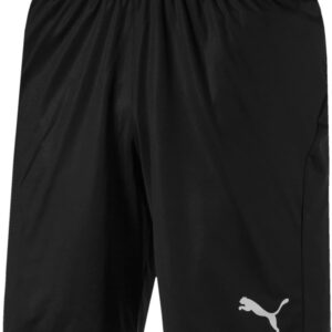 Puma Herren Liga Core Shorts mit Slips