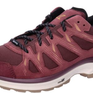 Lowa Innox EVO II GTX WS LOW SHOW