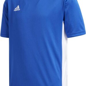 Adidas Boys Entrada 18 JSYY T-Shirt