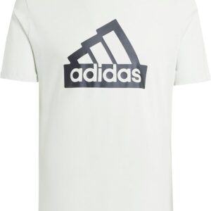 adidas Männer modernes wesentliches grafisches Tee, Leinengrün, m
