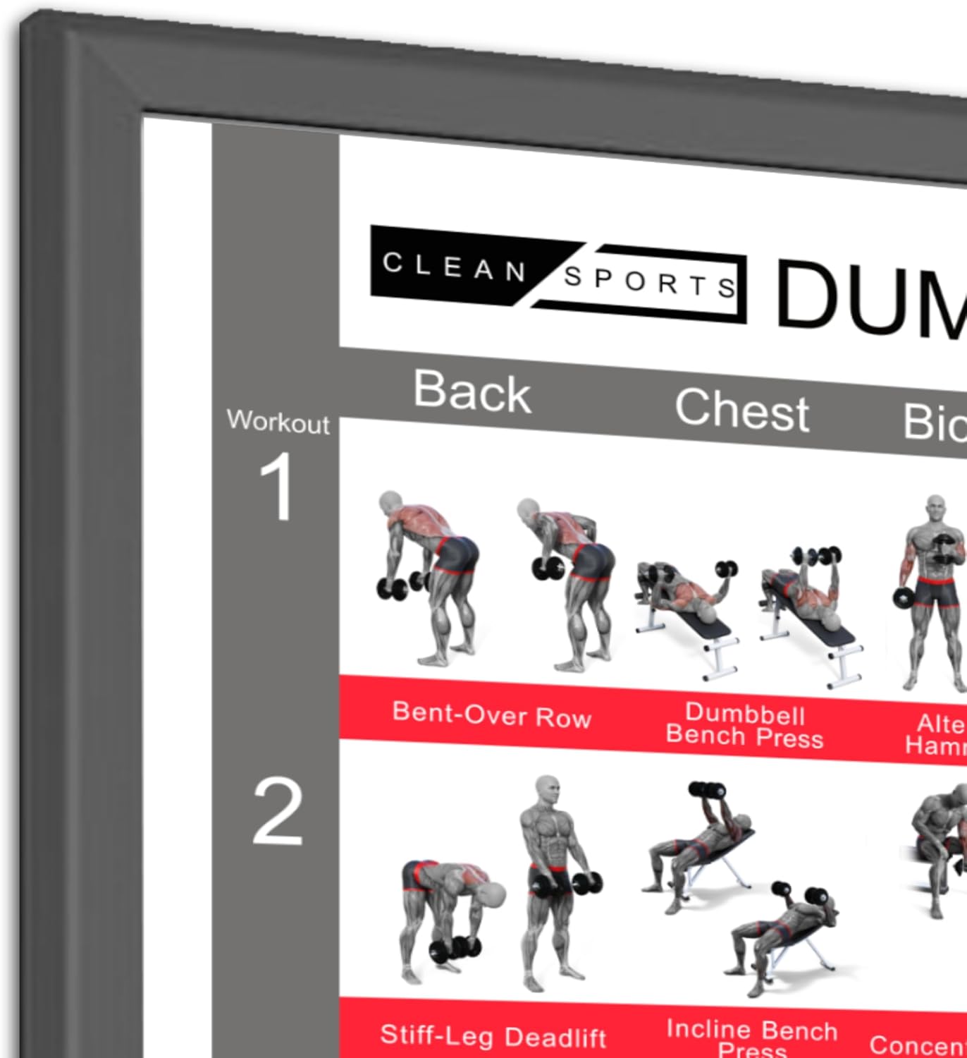 Clean Sports® Dumbbell Workout -Poster Dina2 mit sechs Ganzkörpertrainings, um das Dumbbell -Sportplakat für Hobby Room oder Fitnessstudio nachzubilden (Dina2) – Bild 8