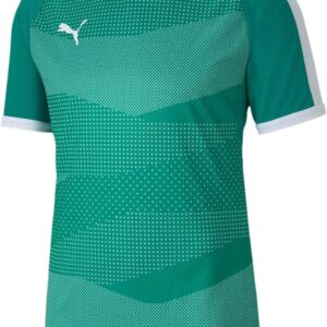 Puma Herren -Teamfinale Indoor -Trikot