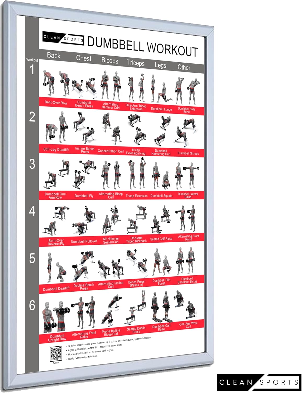 Clean Sports® Dumbbell Workout -Poster Dina2 mit sechs Ganzkörpertrainings, um das Dumbbell -Sportplakat für Hobby Room oder Fitnessstudio nachzubilden (Dina2) – Bild 6