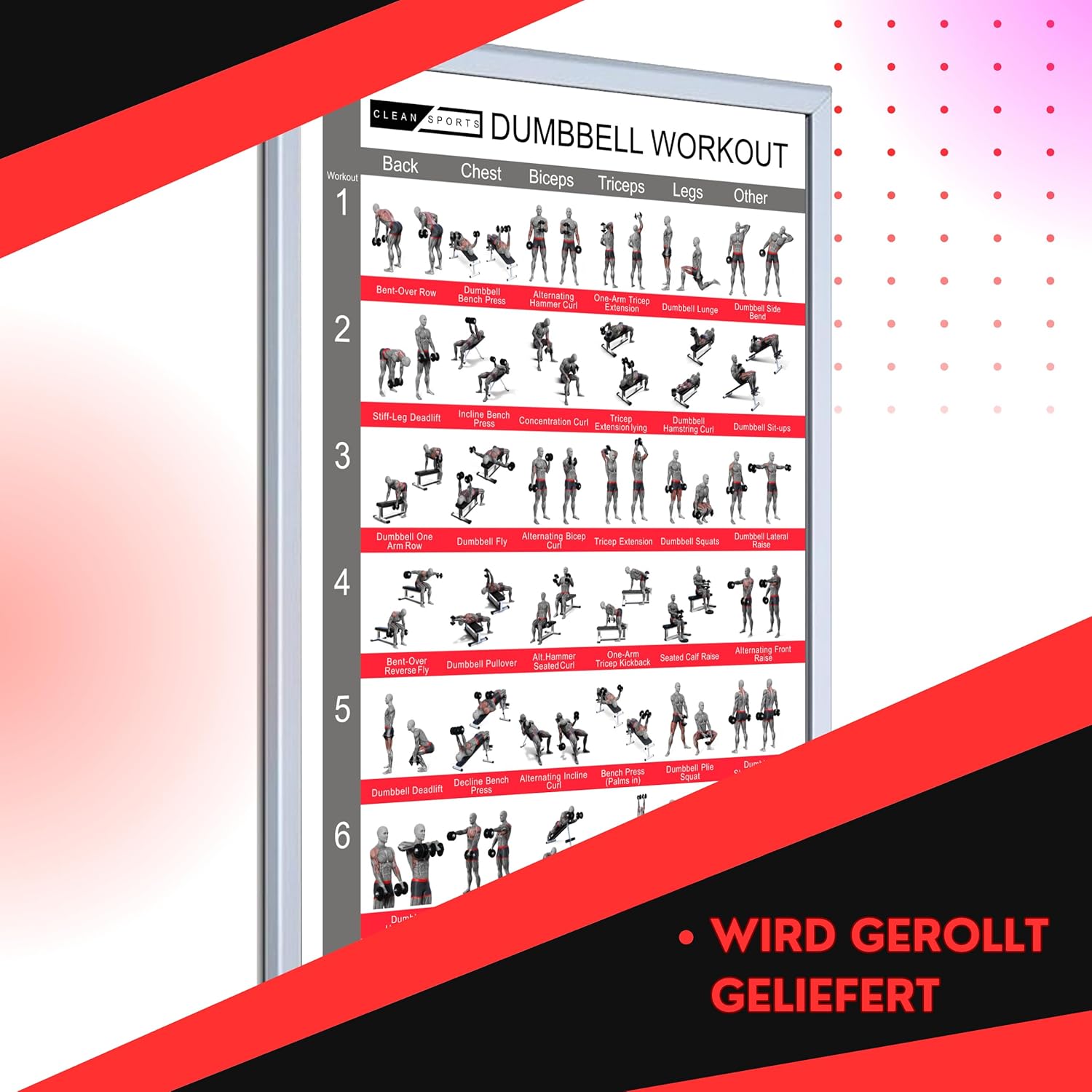Clean Sports® Dumbbell Workout -Poster Dina2 mit sechs Ganzkörpertrainings, um das Dumbbell -Sportplakat für Hobby Room oder Fitnessstudio nachzubilden (Dina2) – Bild 5