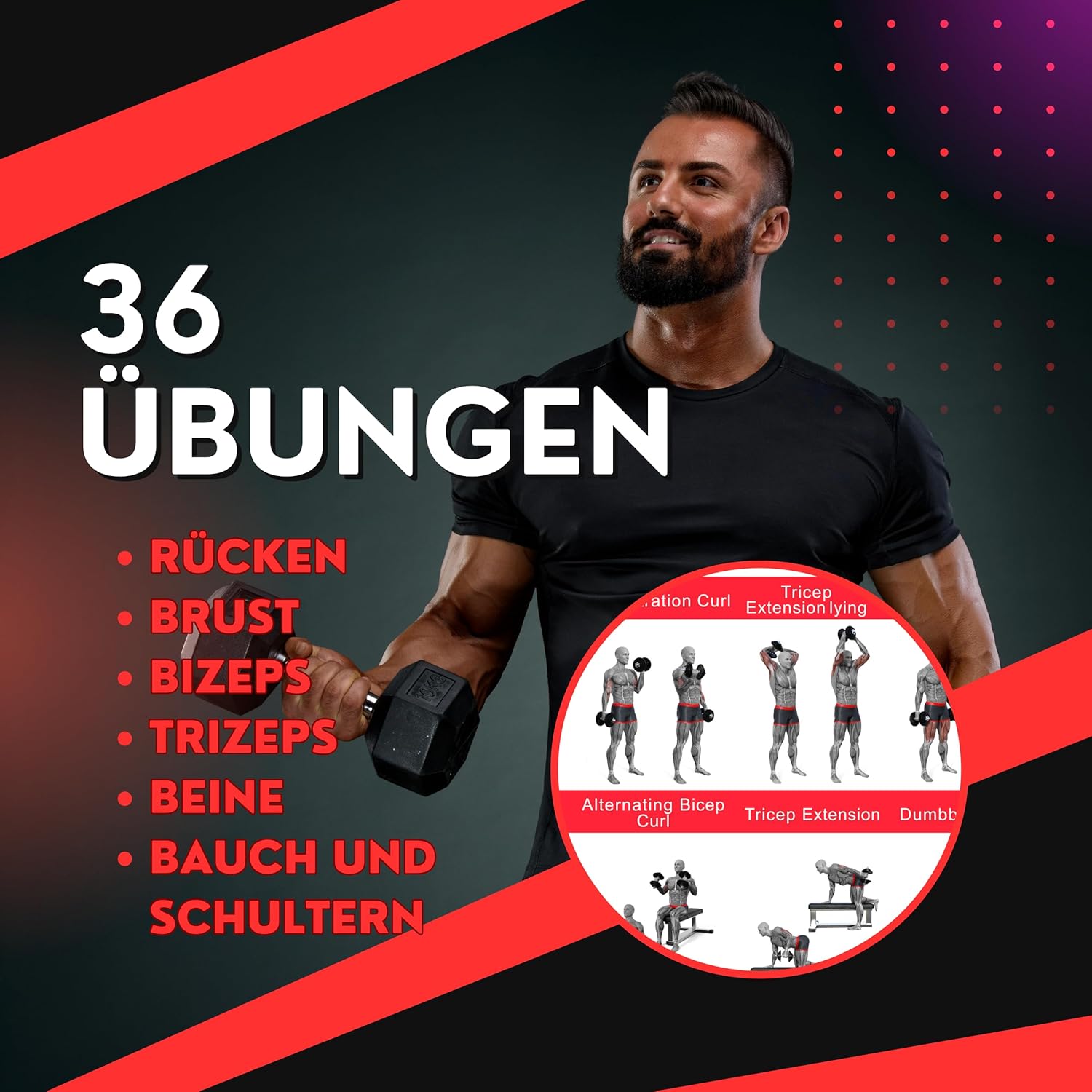 Clean Sports® Dumbbell Workout -Poster Dina2 mit sechs Ganzkörpertrainings, um das Dumbbell -Sportplakat für Hobby Room oder Fitnessstudio nachzubilden (Dina2) – Bild 3