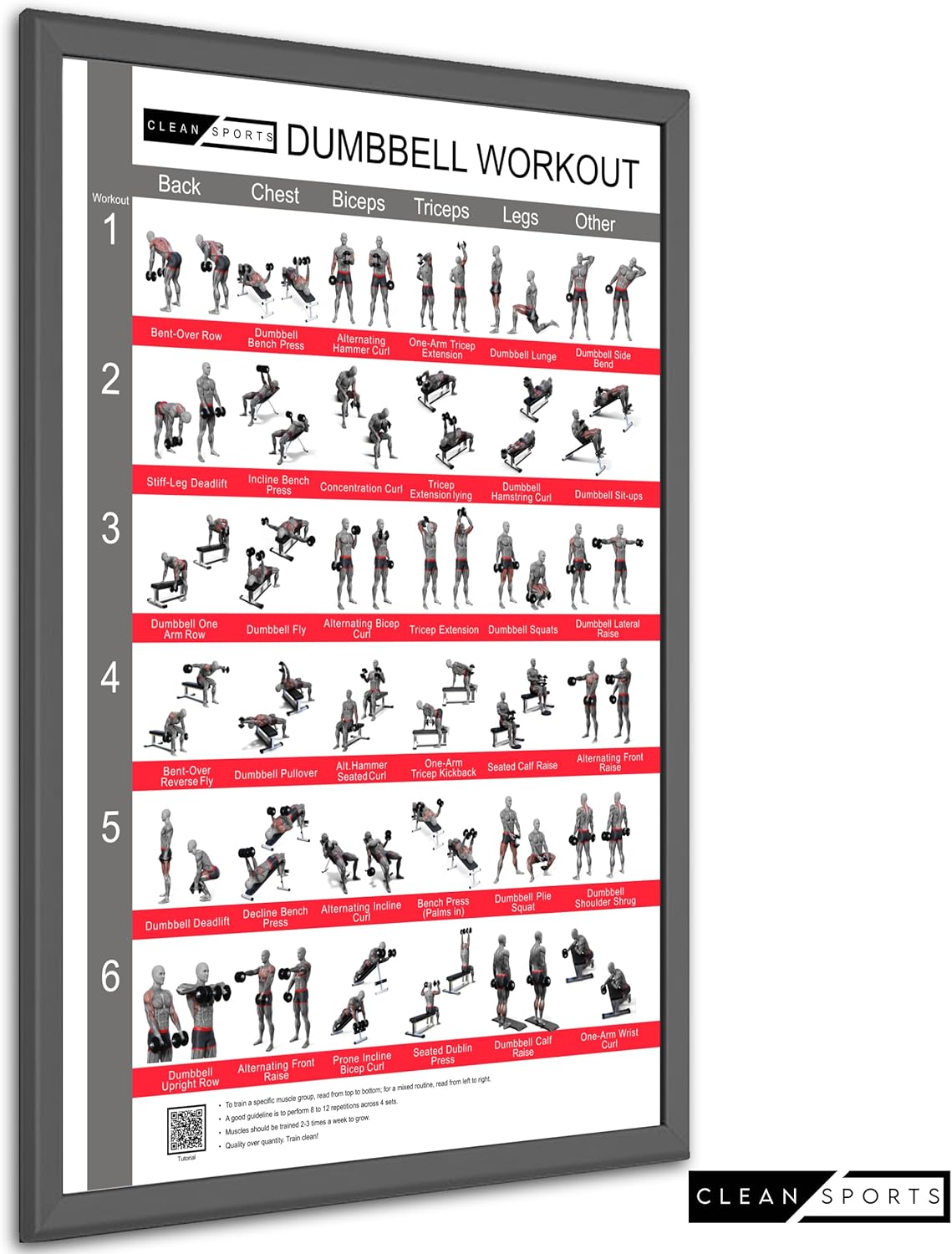 Clean Sports® Dumbbell Workout -Poster Dina2 mit sechs Ganzkörpertrainings, um das Dumbbell -Sportplakat für Hobby Room oder Fitnessstudio nachzubilden (Dina2) – Bild 7