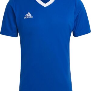 adidas hg6283 ent22 JSY Herren T-Shirt Team Royal Blue Size XLT3