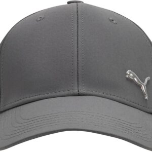 Puma Herren -Stretch -Fit -Baseballkappe